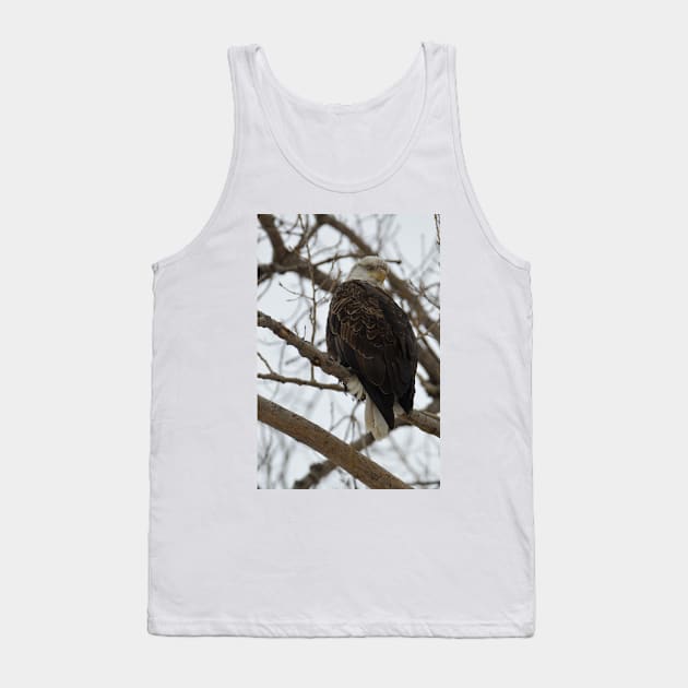 Bald Eagle Tank Top by Drgnfly4free